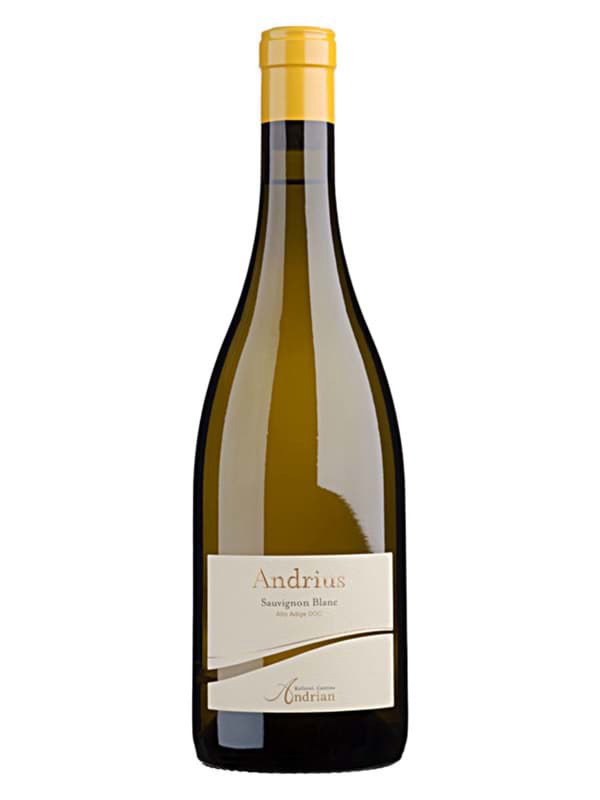 Rượu vang Andrius Sauvignon Blanc 1 Rượu vang Andrius Sauvignon Blanc