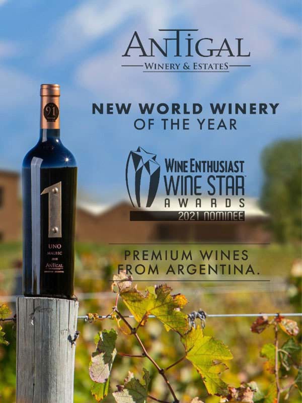 Rượu vang Uno Malbec - số 1 2 Rượu vang Uno Malbec - số 1