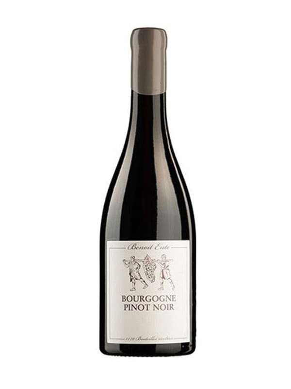Rượu vang Benoit Ente Bourgogne Pinot Noir