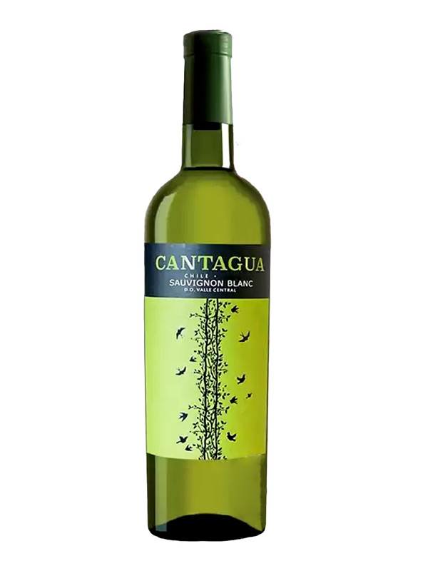 Cantagua Sauvignon Blanc