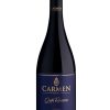 Rượu vang Carmen Gran Reserva Syrah 3 Rượu vang Carmen Gran Reserva Syrah