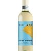 Casa Ceccato Pinot Grigio 2 Casa Ceccato Pinot Grigio