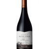Castillo De Molina Reserva Shiraz 2 Castillo De Molina Reserva Shiraz