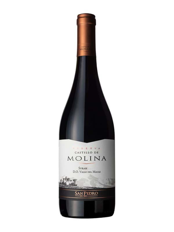 Castillo De Molina Reserva Shiraz 1 Castillo De Molina Reserva Shiraz