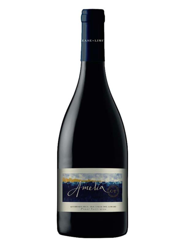 Concha y Toro Amelia Quebrada Seca Pinot Noir