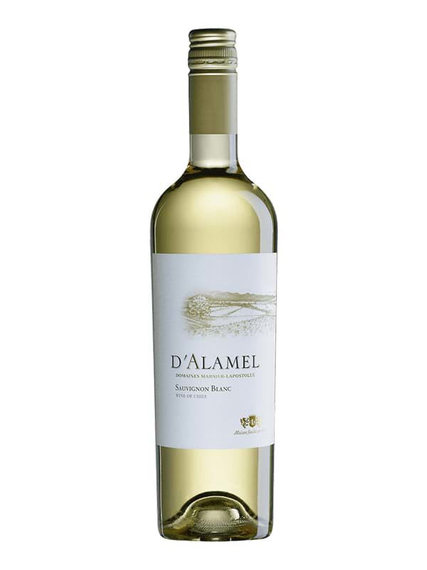 Rượu vang D'Alamel Reserva Sauvignon Blanc 1 Rượu vang D'Alamel Reserva Sauvignon Blanc
