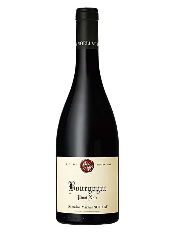 Domaine Michel Noellat Bourgogne Pinot Noir
