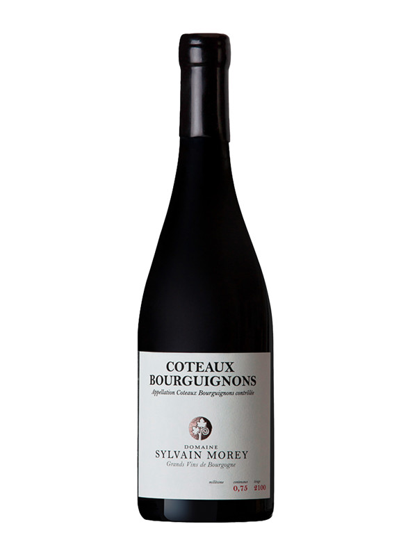 Domaine Sylvain Morey Coteaux Bourguignon