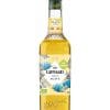 Giffard Agave Syrup