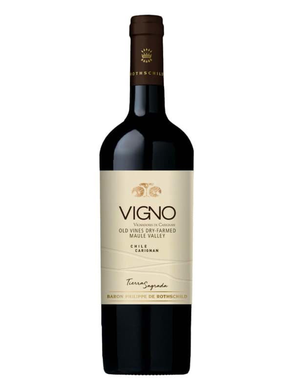 Mapu Tierra Sagrada Carignan Vigno