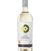 Rượu vang Miguel Torres Santa Digna Reserva Sauvignon Blanc 2 Rượu vang Miguel Torres Santa Digna Reserva Sauvignon Blanc