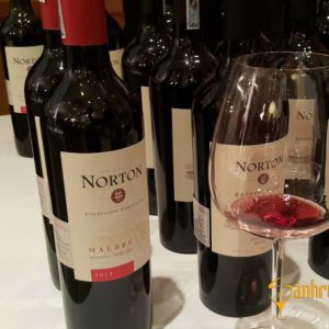 Rượu Vang Norton Malbec