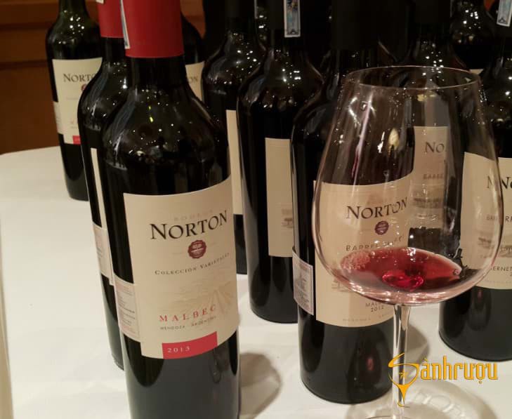 Rượu Vang Norton Malbec 2 Rượu Vang Norton Malbec