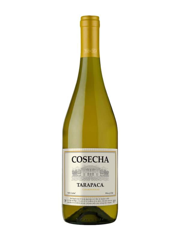Rượu vang Tarapaca Cosecha Chardonnay