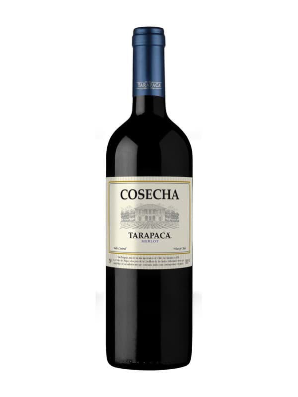 Rượu vang Tarapaca Cosecha Merlot 1 Rượu vang Tarapaca Cosecha Merlot