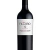 Tinto Figuero 12 Crianza 2 Tinto Figuero 12 Crianza