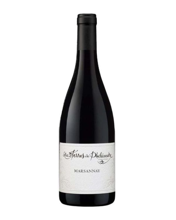 Vang Les Terres de Phileandre Marsannay