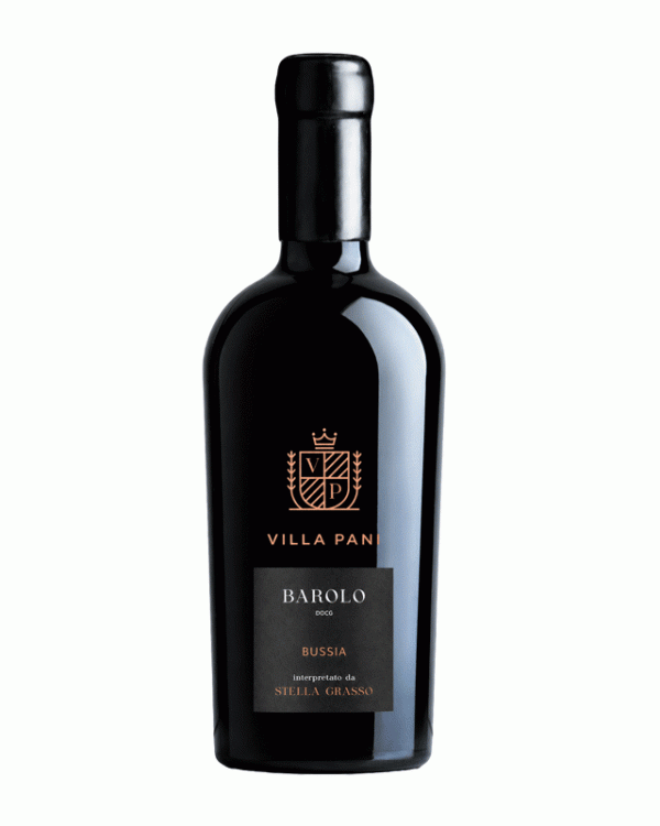 Villa Pani Barolo Bussia