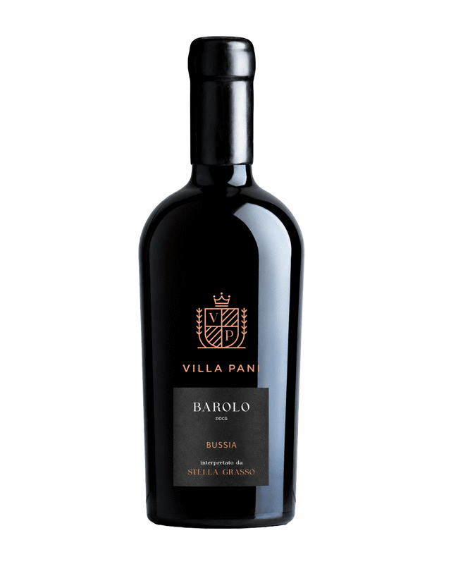 Villa Pani Barolo Bussia 1 Villa Pani Barolo Bussia