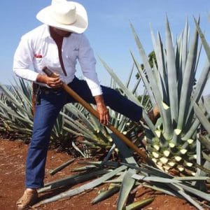 Tequila Jose Cuervo